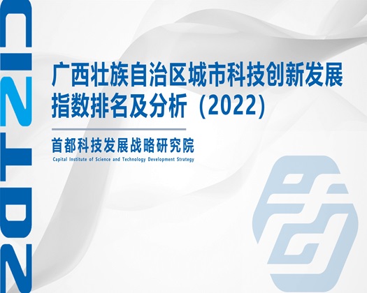 操逼给你看【成果发布】广西壮族自治区城市科技创新发展指数排名及分析（2022）